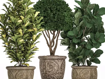 Trees in classic flowerpots for the street parks and garden 493 3D model