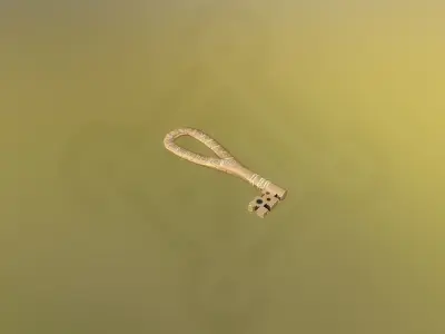 Viking Key Low-poly 3D model