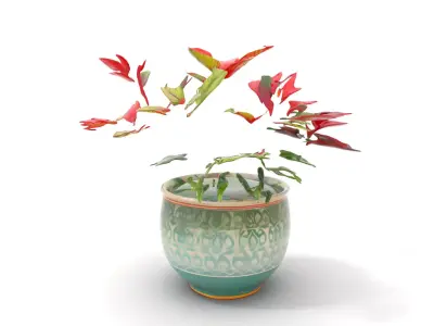 Vibrant Ceramic Plant model pack Low-poly 3D model
