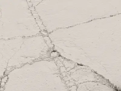 lapenacrack 3D model