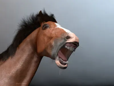  Rigged and Animated Horse V2 Clydesdale 
