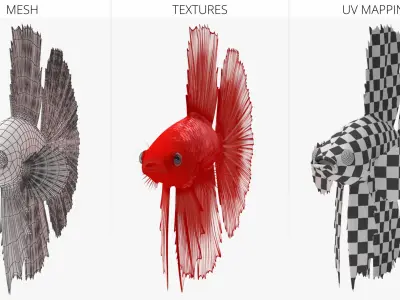  Red Crowntail Betta Fish Swimming Animated Rigged for Cinema 4D 