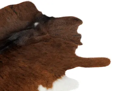 Animal skin rug 13 3D model
