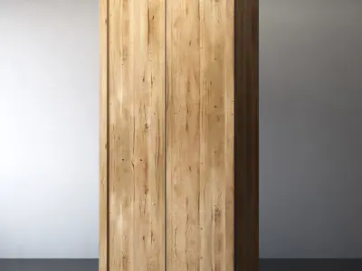 RECLAIMED RUSSIAN OAK PANEL DOUBLE-DOOR CABINET 3D model