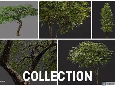 All Trees Collection 3D Model Pack