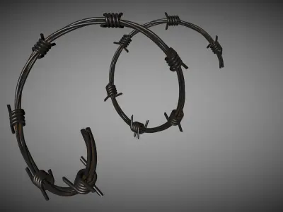 Rusty Wire and Metallic Wire 3D model