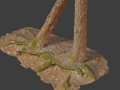 Tree Trunk Stump Scanned Processed Free low-poly 3D model