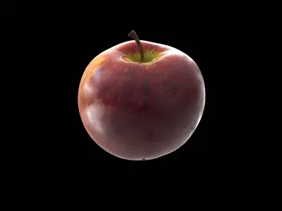 New Zealand Red Apple 3D model