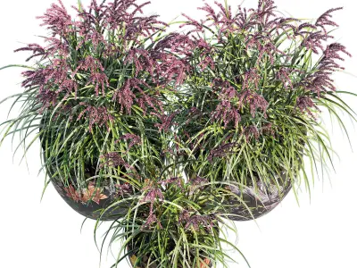 Porcelain pot one 3D model