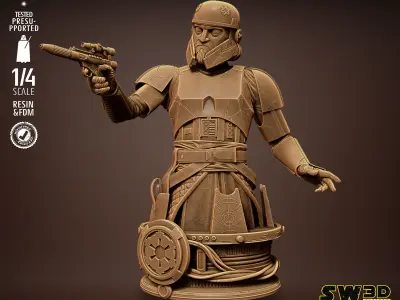 STAR WARS Captain Enoch Bust Tested for 3D printing 3D print model