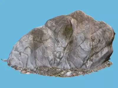 The Rock 3D model