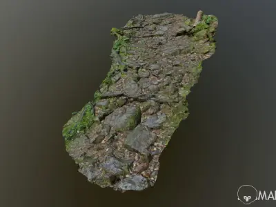 Ground stones C 3D model