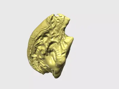 Newborn Alien - Alien Sapien - Head 3D print model