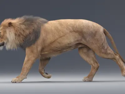  Lion Rigged (Fur) 