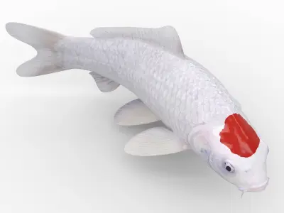  Koi Fish 4 Animated 