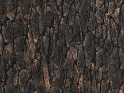 Rough Dark Tree Bark PBR Seamless Texture