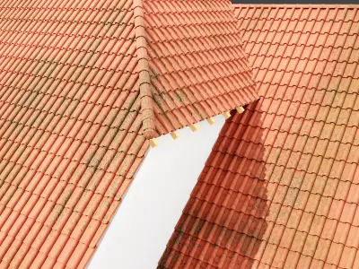 Realistic Roof Collections 25 3D model