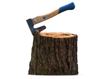 Log with small axe 3D model