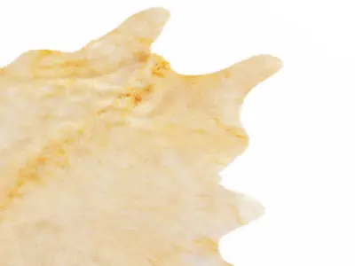 Beige Cow Hide Rug 3D model
