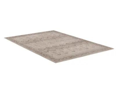 RAJANI WOOL RUG 3D model