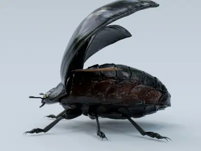  Black Beetle Rigged 