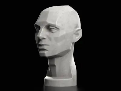 Planes of the Head - John Asaro - 1976  3D print model