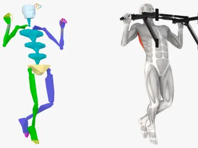  Male Muscular System Pull-up Animated Rigged 