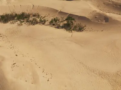 Landscape Desert Dunes Low-poly 3D model