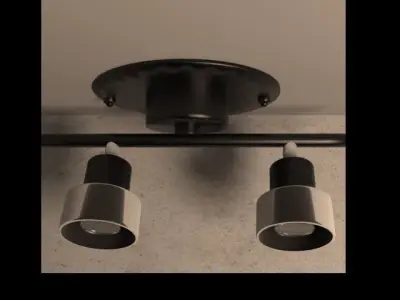 Spotlights ceiling light with two lights 3D model
