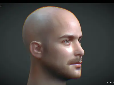 Male head Realistic Perfect Head Low-poly 3D model