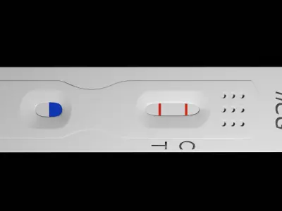 Pregnancy Test Kit Free 3D model