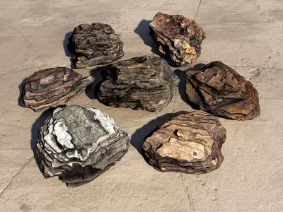 Bark Chips 3D Scan  3D model