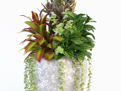 Plant in bowl 3D model