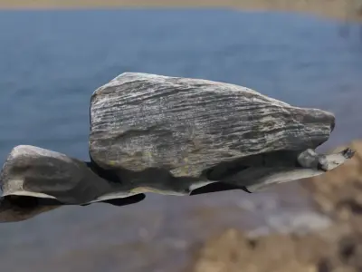Rocks piece of wood floating in water Low-poly 3D model