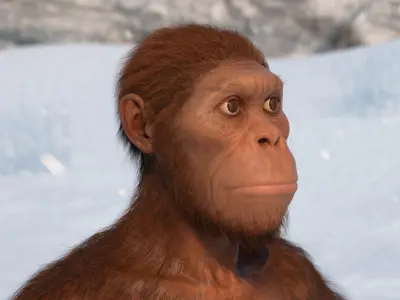  Life-Size Model of Prehistoric Hominin Female Fur for Cinema 4D 