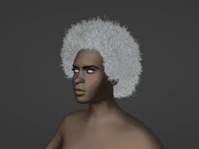 Afro Black Hair 3D model