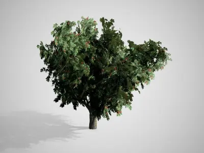 Common Hawthorn Tree Low-poly 3D model