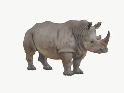  Realistic 3D Rhinoceros Low Poly PBR 