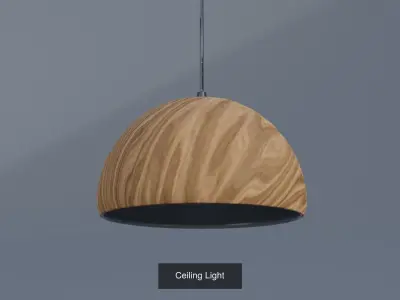 Ceiling Light Collection 3D Model Pack