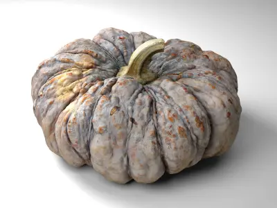 Warty Pumpkin - Photorealistic  Scan Low-poly 3D model