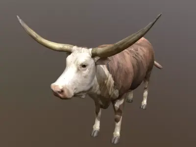 Longhorn Cow Animated and Rigged 3D model Low-poly 3D model