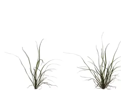 Realistic Wild Grass Clump Pack Low-poly 3D model
