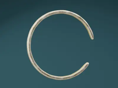 Golden Bangle  Low-poly 3D model order