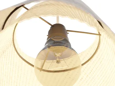 Light fixture with shade hanging from it Free 3D model