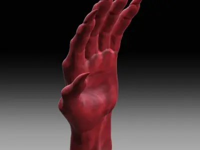 Creature Hand 3D model