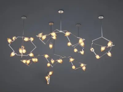 Bec Brittain Seed Collection 3D model