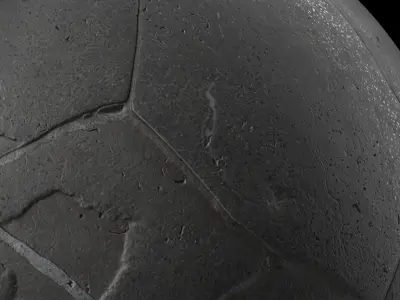 Pavement Materials 5- by Moss and Snow Paving Pbr 4k Seamless Texture