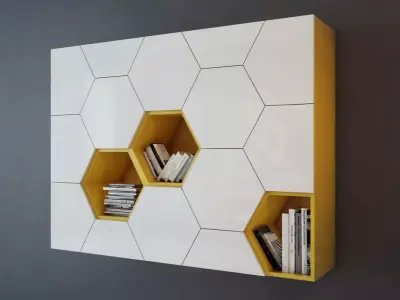 The contemporary  bookcase with hexagonal doors 3D model