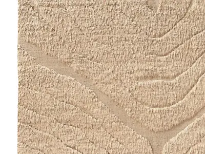 TARRAS WOOL RUG B 3D model