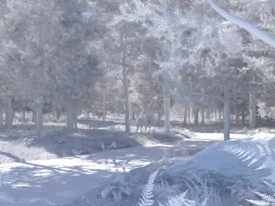  C4D Octane render Forest early morning tropical rainforest River elk scene 